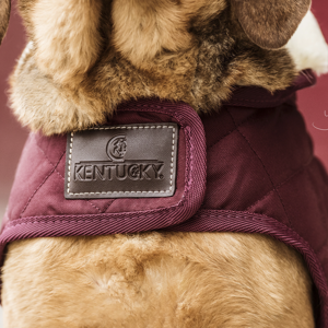 Kentucky hondenjas Burgundy